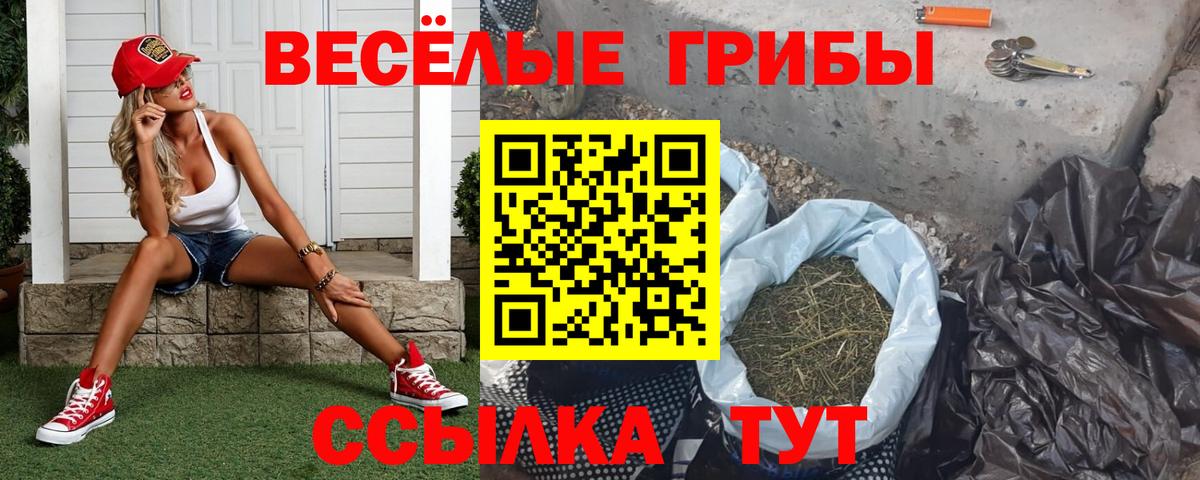 купить закладку  Псилоцибиновые грибы MAGIC MUSHROOMS  Вход с VPN  Полевской  Галлюциногенные грибы ЛСД 