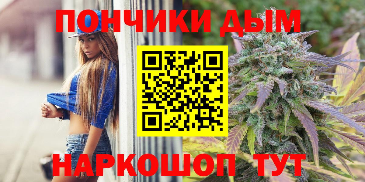 Бошки Шишки сатива Полевской